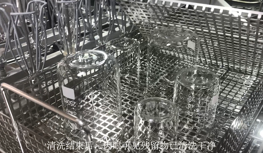 智能清潔新風尚：全自動洗瓶機，品質清洗新體驗
